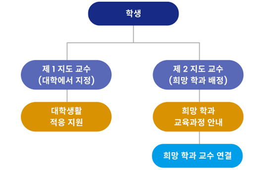 듀얼지도 교수제
